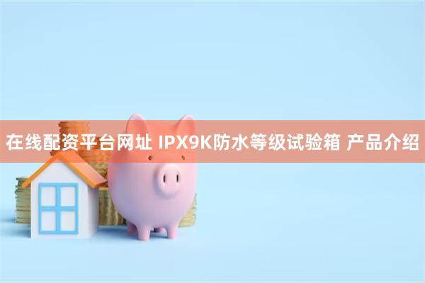 在线配资平台网址 IPX9K防水等级试验箱 产品介绍