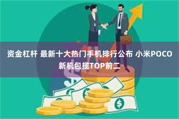 资金杠杆 最新十大热门手机排行公布 小米POCO新机包揽TOP前二