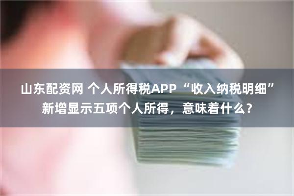 山东配资网 个人所得税APP “收入纳税明细”新增显示五项个人所得，意味着什么？