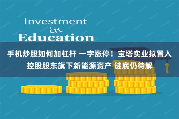 手机炒股如何加杠杆 一字涨停！宝塔实业拟置入控股股东旗下新能源资产 谜底仍待解