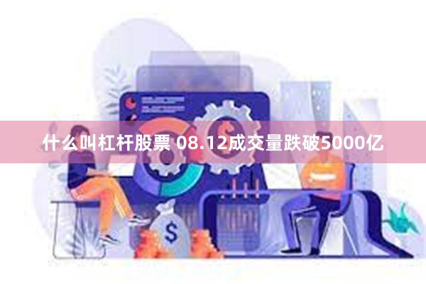 什么叫杠杆股票 08.12成交量跌破5000亿