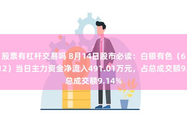 股票有杠杆交易吗 8月14日股市必读：白银有色（601212）当日主力资金净流入491.01万元，占总成交额9.14%