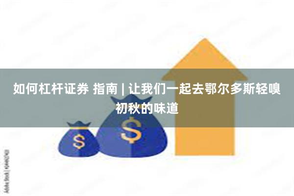 如何杠杆证券 指南 | 让我们一起去鄂尔多斯轻嗅初秋的味道