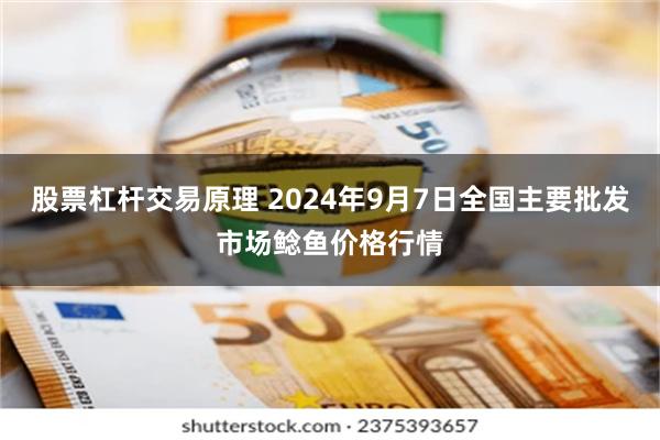 股票杠杆交易原理 2024年9月7日全国主要批发市场鲶鱼价格行情