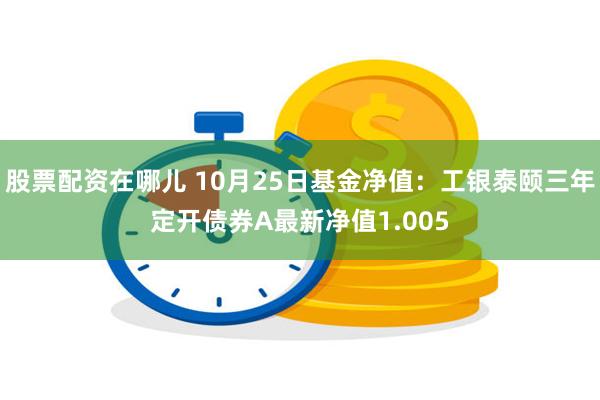 股票配资在哪儿 10月25日基金净值：工银泰颐三年定开债券A最新净值1.005