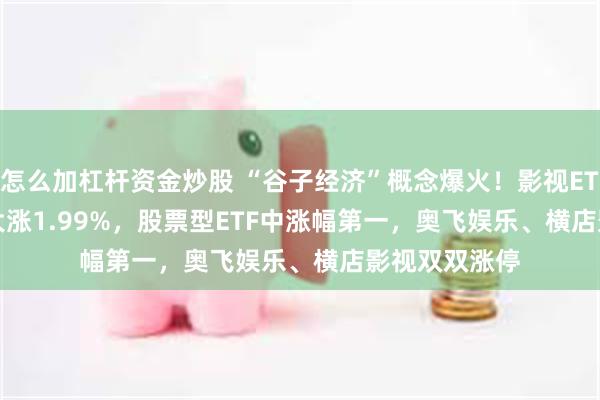 怎么加杠杆资金炒股 “谷子经济”概念爆火！影视ETF(159855)大涨1.99%，股票型ETF中涨幅第一，奥飞娱乐、横店影视双双涨停