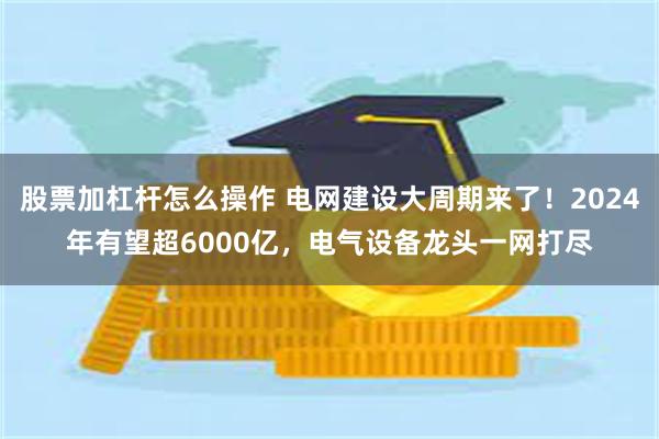 股票加杠杆怎么操作 电网建设大周期来了！2024年有望超6000亿，电气设备龙头一网打尽