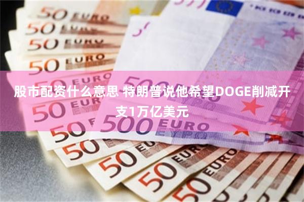 股市配资什么意思 特朗普说他希望DOGE削减开支1万亿美元